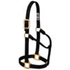 Weaver Leather - Original Non-Adjustable Halter, Black, 1 Inch Yearling Horse