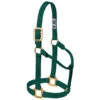 Weaver Leather - Original Non-Adjustable Halter, Hunter Green, 1 Inch Yearling Horse