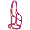 Weaver Leather - Original Non-Adjustable Halter, Raspberry, 1 Inch Yearling Horse
