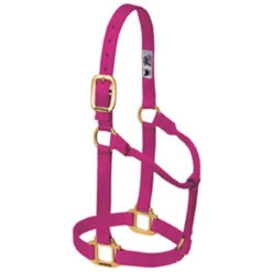 Weaver Leather - Original Non-Adjustable Halter, Raspberry, 1 Inch Yearling Horse