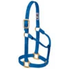 Weaver Leather - Original Non-Adjustable Halter, Blue, 1 Inch Small Horse Or Weanling Draft
