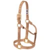Weaver Leather - Original Non-Adjustable Halter, Sand, 1 Inch Small Horse Or Weanling Draft