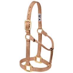 Weaver Leather - Original Non-Adjustable Halter, Sand, 1 Inch Small Horse Or Weanling Draft