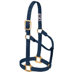 Weaver Leather - Original Non-Adjustable Halter, Navy, 1 Inch Average Horse Or Yearling Draft