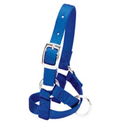 Weaver Leather - Llama Halter, Blue, 3 4 Inch Medium Large