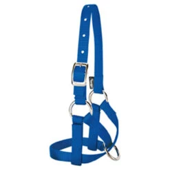 Weaver Leather - Alpaca Halter, Blue, 5 8 Inch Large