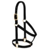 Weaver Leather - Basic Non-Adjustable Halter, Black, 1 Inch Average Horse Or Yearling Draft