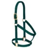 Weaver Leather - Basic Non-Adjustable Halter, Hunter Green, 1 Inch Average Horse Or Yearling Draft