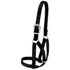 Weaver Leather - Barn Cow Halter, Black, 1 Inch Small