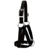 Weaver Leather - Goat Halter, Black, 3 4 Inch Small