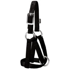 Weaver Leather - Goat Halter, Black, 3 4 Inch Small