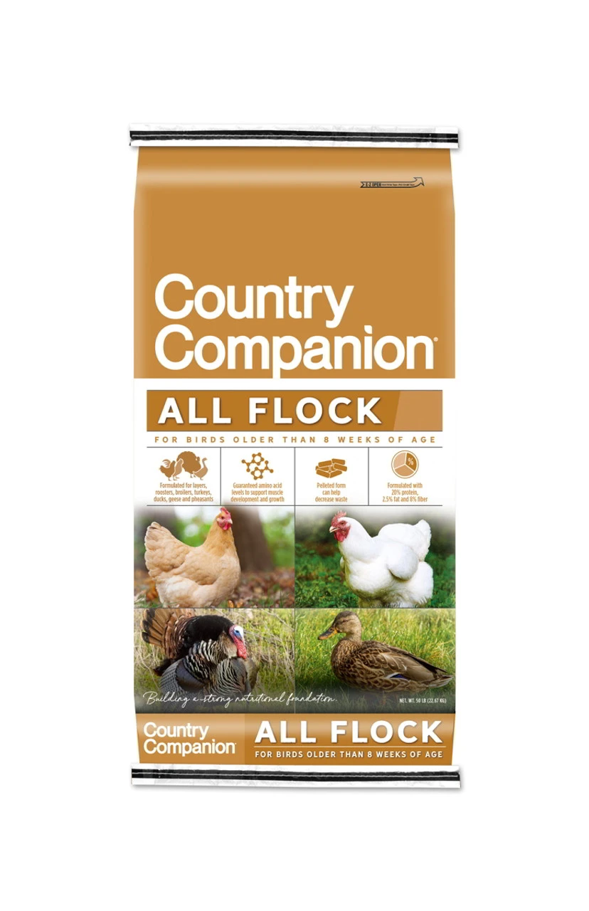 Country Companion 20% All Flock Pelleted Feed - 50lb