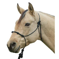 Weaver Leather - Silvertip Four Knot Rope Halter, Average -Black