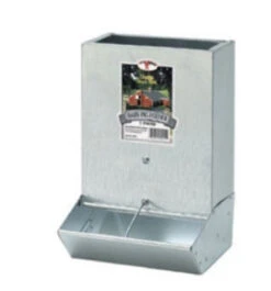 Little GIANT 2-Hole Baby Pig Feeder