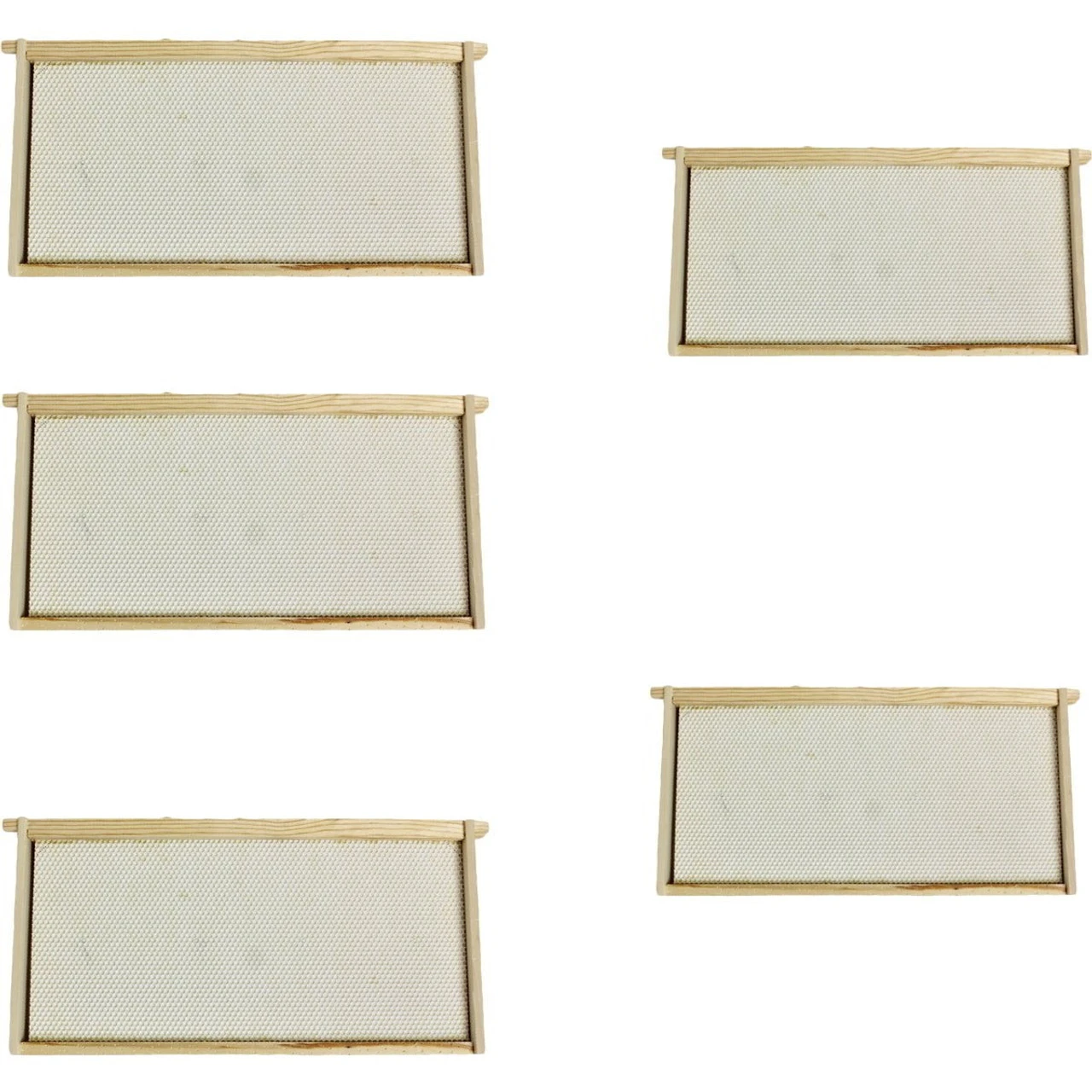 Harvest Lane Honey Deep Beehive 5 Frames