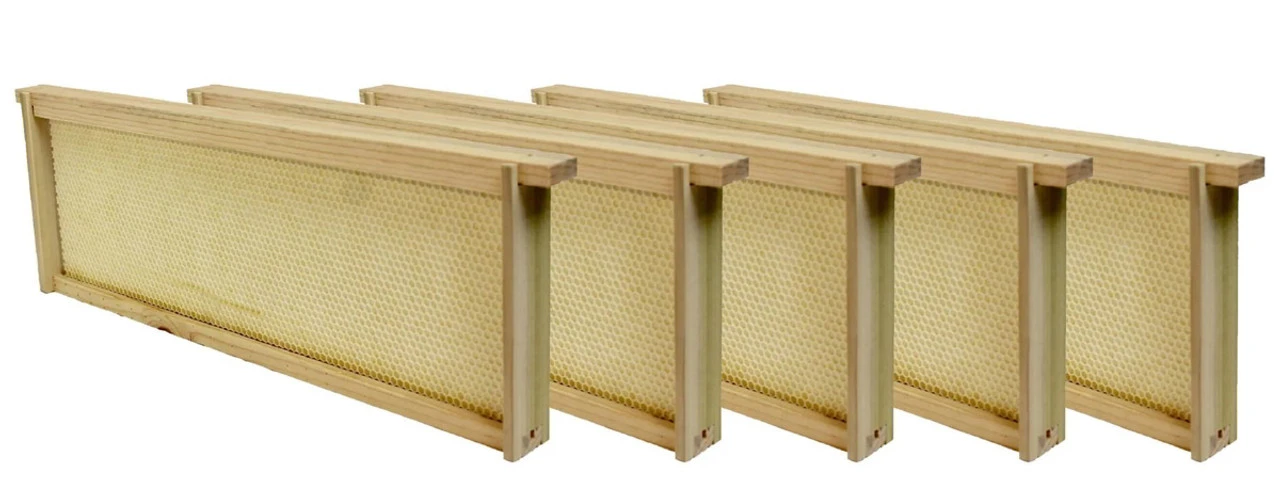 Harvest Lane Honey Medium Assembled Frame - 5 Pack