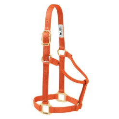 Weaver Leather- Original Non-Adjustable Halter 1" Small Horse Or Weanling Draft Orange
