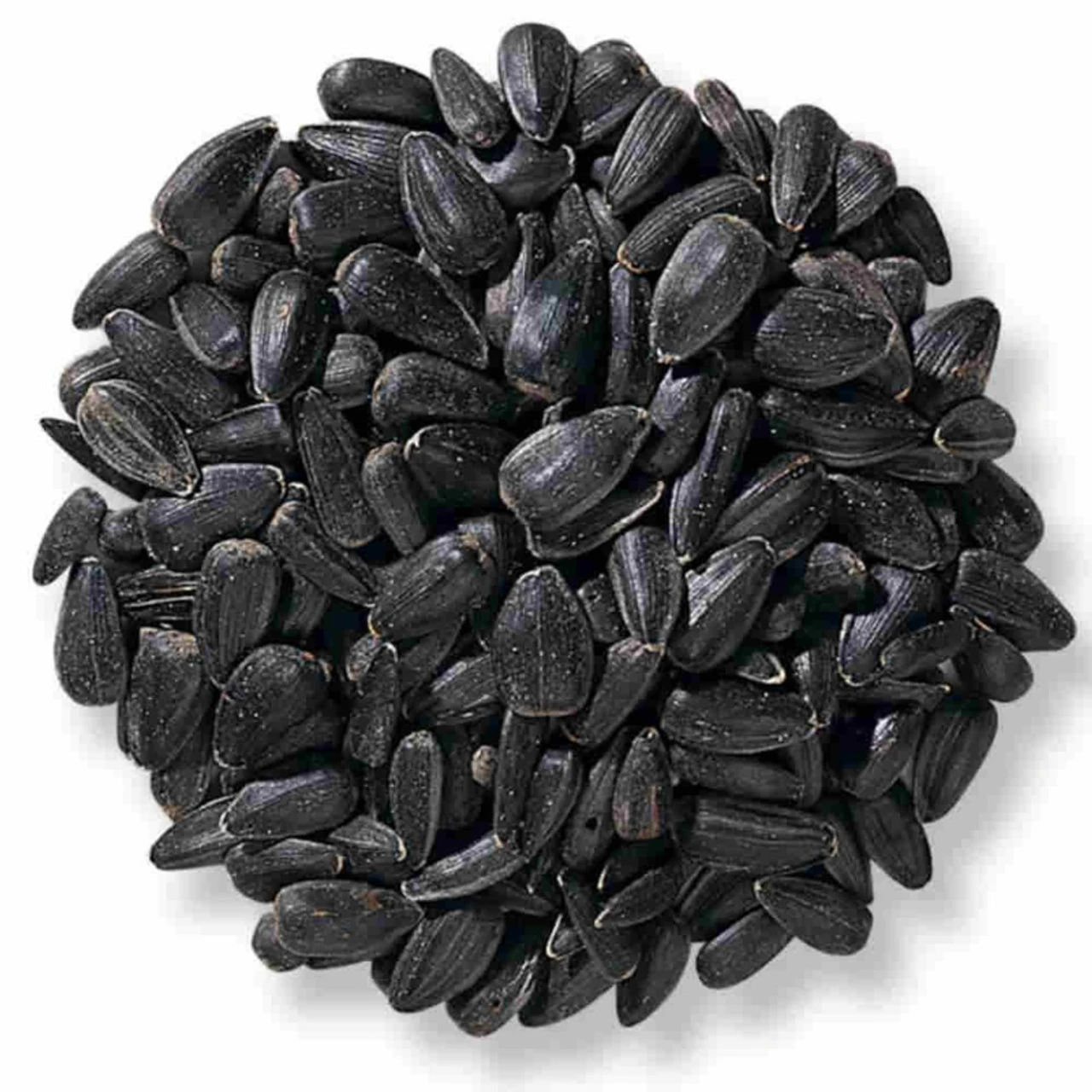 Wild Delight Black Oil Sunflower Seed - 40 Lb.