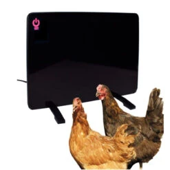 Cozy Coop 200W Flat Panel Chicken Coop Heater