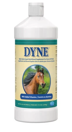 PetAg Dyne High Calorie Liquid Equine Supplement - 32 Oz.