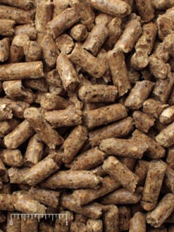 Mazuri Wild Herbivore Plus Diet - 50 Lb.