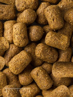 Mazuri Wild Carnivore Bear Maintenance Diet - 40 Lb.