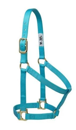 Weaver Leather Basic Non-Adjustable 1" Halter, Turquoise