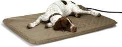 K&H Lectro-Soft Large Outdoor Heated Dog Bed