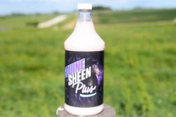 212 Livestock Equine Sheen Plus - 1 Quart