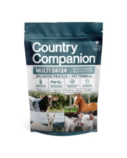 Country Companion Multi-Species 24/24 Milk Replacer - 6 Lbs