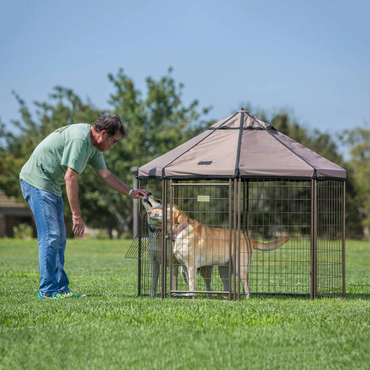 Advantek 5' Pet Gazebo - Image 4