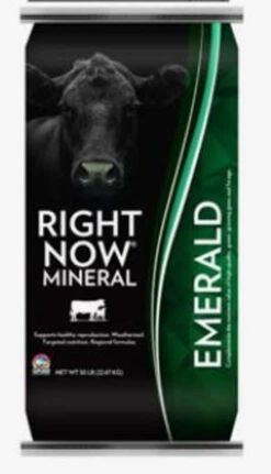 Nutrena Right Now Emerald- 50lb