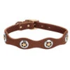 Weaver Leather - Lone Star Legend Collar, Sunset, 3 4 Inch X 15 Inch
