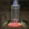 Perky Pet - Window Mount Hummingbird Feeder