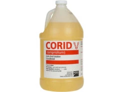 Corid 9.6% Oral Solution (Amprolium) - 1 Gallon