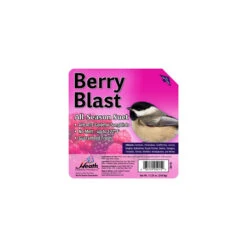 Pennington Select Black Oil Sunflower Seed Wild Bird Feed- 40LB Bag