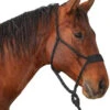 Classic Equine Wide Nose Flat Braid Halter & Leadrope