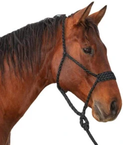 Classic Equine Wide Nose Flat Braid Halter & Leadrope