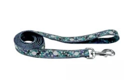 Coastal LazerBrite Patterned Leash Galaxy