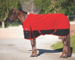 Big R Red 1200D Turnout Blanket With 300G Fill